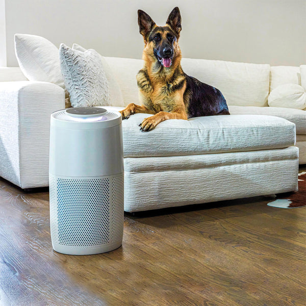 Luftreiniger AP300 pearl instant air purifiers IP 150-0018-01 Kunzi Shop 2